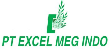 Excel Meg Indo