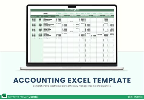 Excel accounting template.  They allow you to do some amazing things with o...