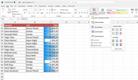Excel koşullu biçimlendirme nedir
