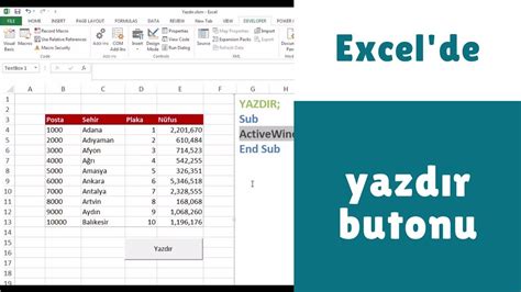 Excel vba yazdır butonu