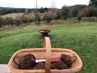 Exclusive Red Hill Black Gold Truffle Hunts - Visit Victoria home