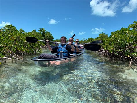 Excursions in turks and caicos. Dhuʻl-H. 4, 1440 AH ... Family Adventures Close to The Palms ... From family kayaking tours through mangrove forests, snorkeling adventures off the barrier reef, or ... 