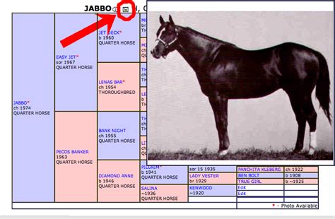 Execute Quarter Horse - All Breed Pedigree