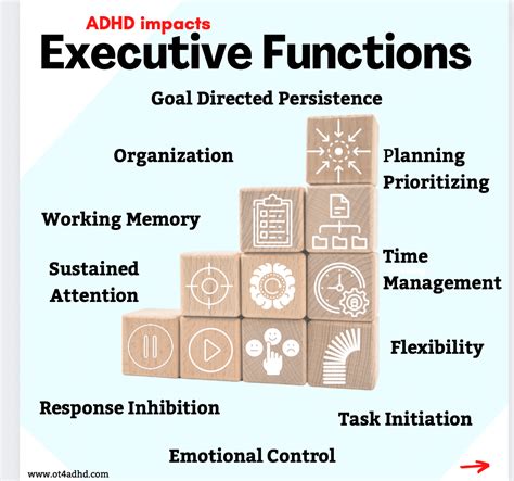 Executive Functions for Classroom Performance OT 4 ADHD