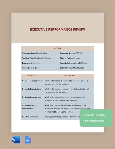 Executive Performance Review Template in Word, Google Docs Download