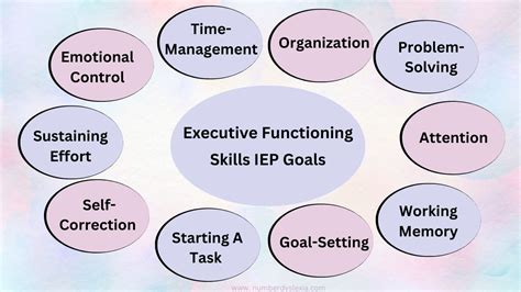 Typically, executive function is broken down into three areas: Working memory: the ability to retain and use new information. Mental flexibility: the ability to adjust our way of thinking in order to adapt to various situations, demands, or perspectives. Self-Control: the ability to ignore distractions or temptations in order to accomplish a .... 