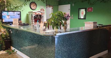 Cheap Hotels 2019 Eve Up To 50 Off Executive Inn Mineral - 
