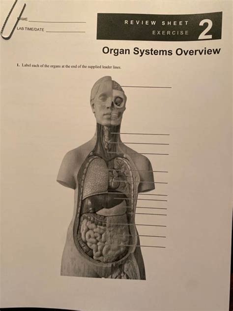 Exercise 2 organ systems review marieb manual. - Conditions de travail dans les industries du québec, 19676.