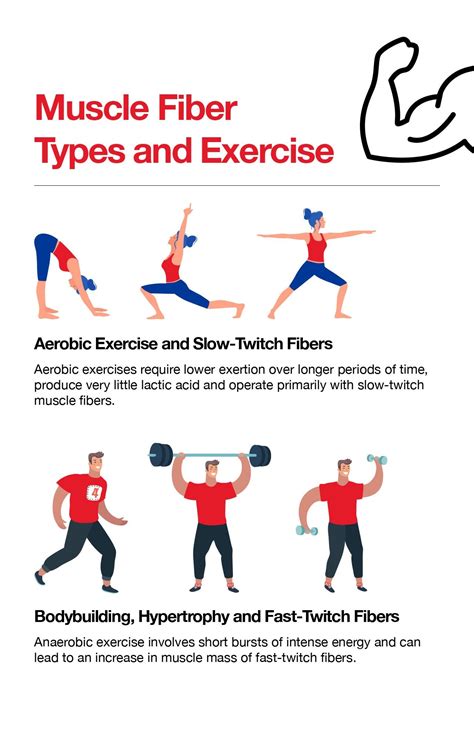 Exercise For Your Muscle Type