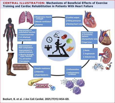Exercise and heart failure Everything to know