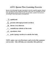 Exercise and sperm.  2 days ago · In conclusion, while the specific im...