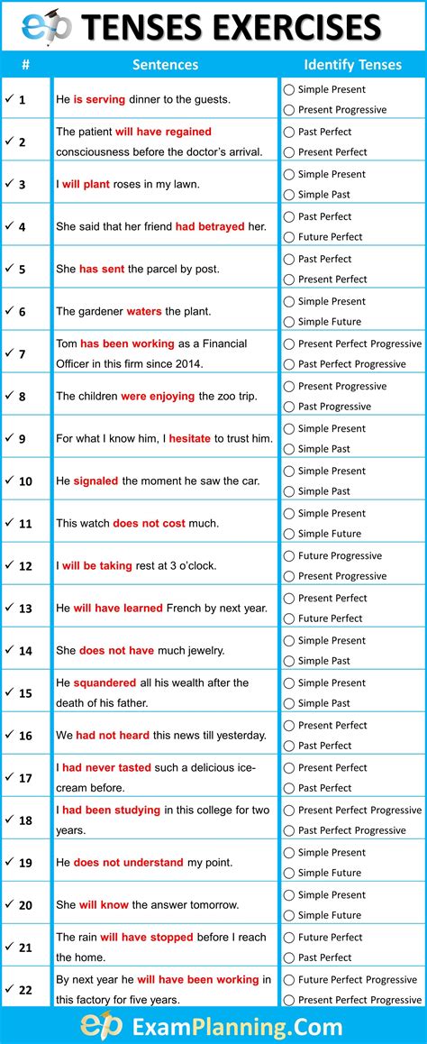 Exercises on Sentences for Class 6 (Mixed Exercises)