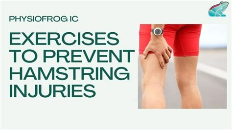 Exercises to Prevent Hamstring Injuries