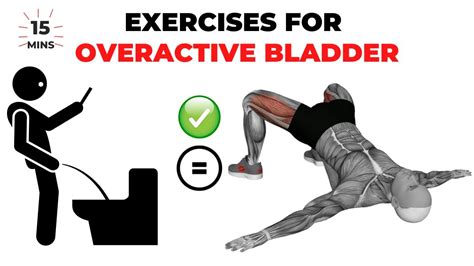 Exercises to help empty bladder male.  These muscles support your bladder and bowel.  The high-...