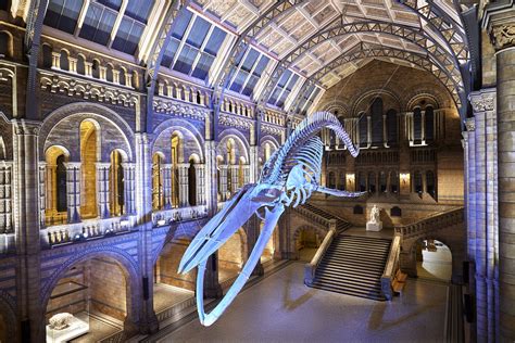 Exhibitions at the Natural History Museum