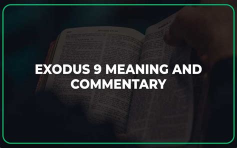 Exodus 9 ICB;NKJV - The Disease on the Farm Animals