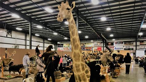 Exotic animal auction ohio. Super Exotic Wildlife Auction. Doors Open: 1:30 pm – Bloody Mary Bar, Appetizers. Auction Begins: 3:00 pm. Conclusion of Auction: 6:00 pm. Cocktails, Appetizers: 6:00 – 6:30 pm. Trinity Oaks Raffle: 6:30 pm. Dinner: 6:30 – 7:30 pm. Live Music and Party: 7:30 pm – End. If you have any questions, please feel free to contact Katie Leibold ... 