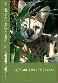 Exotic cat care guide african serval cat care volume 1. - Reflejos del sol sobre las piedras.