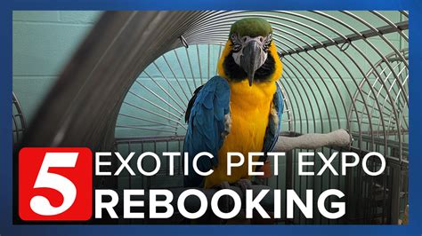 Exotic pet expo near me. The Murfreesboro TN Exotic Pet Expo is back on February 24th and 25th, 2024, at Mid TN Expo Center. On Saturday, come out from 9:00 a.m. to 5:00 p.m., and on Sunday, the doors open at 10:00 a.m. until 4:00 p.m. Enjoy an unforgettable weekend of family-friendly entertainment, where you can explore a captivating world of reptiles, small mammals, parrots, feeders, and an array of pet supplies ... 