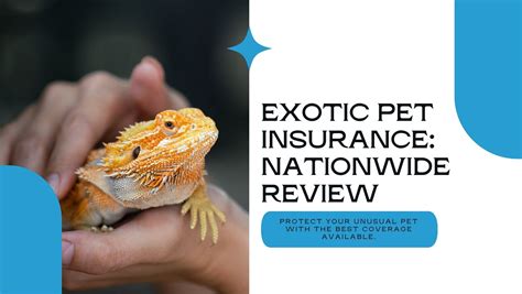 Exotic pet insurance. Discover whether Nationwide pet insurance is right for you with this review, featuring info on coverage, discounts and more. ... Exotic longhair. $58. $25* Maine coon. $38. $20* Persian. $38. $20 ... 