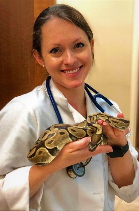 Exotic pet vet. Our pet vets’ training in exotic animal medicine makes them qualified in the treatment and husbandry of an extensive variety of birds, reptiles, and pocket pets. We have every … 