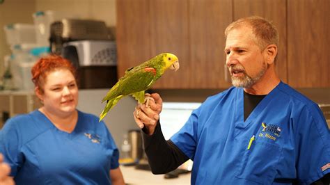 Exotic pet veterinarian. Our Veterinarians. Our veterinarians apply their specialized knowledge, tools, and expertise to improve the health and wellness of your exotic pet. They attend veterinary conferences and obtain specialized training to maintain that expertise, and Dr. Orosz has actively taught for over 30 years. Dr. 