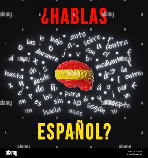 Expats, do you speak Spanish?, Spain forum