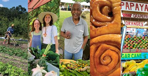 Experience South-Dade’s cultural farming communities as Miami-Dade County celebrates Farmers Month