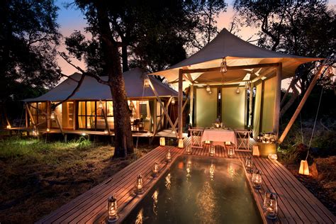 Experience Unparalleled Luxury in a Serene Safari Setting with Our Premium Tents