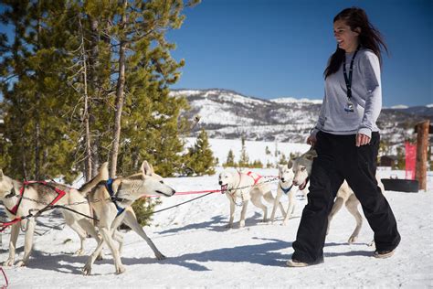 Experience dog sledding at this local mountain ranch
