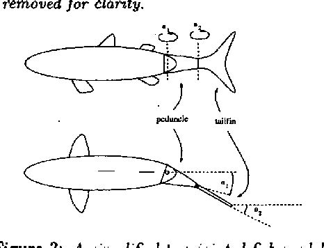 Experiments in Carangiform Robotic Fish Locomotion