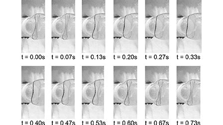 Experiments on self-excited oscillation in a thin-walled collapsible ...