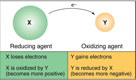 The terminology associated with this redox change is admittedly awkward. Addition of the electron causes a reduction which refers to the decrease in the oxidation state of the ion from three to two. The reverse process is known as oxidation, which is an increase in the oxidation state.This terminology is not parallel to reduction, but rather derives from the fact …. 