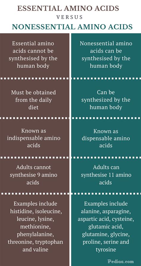Explain the Difference Between Essential and Nonessential Amino Acids