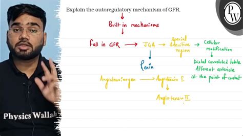 Explain the autoregulatory mechanism of GFR. - BYJU