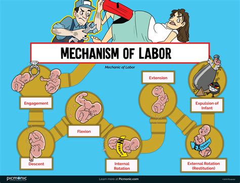 Explained: How Labor