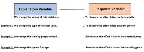 Explanatory And Response Variables Definitions & Examples