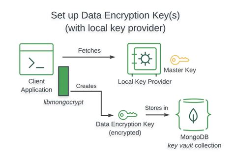 Explicit encryption mongodb.  For example, I can save and read types with the standard mongo r...