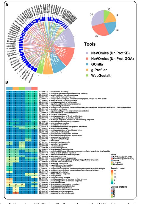 Exploratory Gene Ontology Analysis with Interactive Visualization