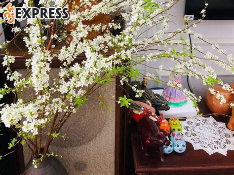 Explore Authentic Tuyet Mai Stock