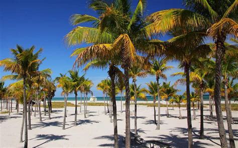 Explore Beautiful Key Biscayne Beaches Greater Miami & Miami Beach