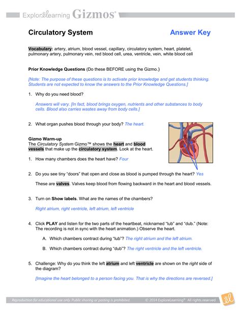Explore Learning Gizmo Answer Key Circulatory System