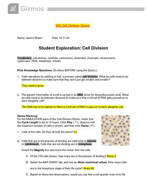 Explore Learning Gizmo Answers Cell Division