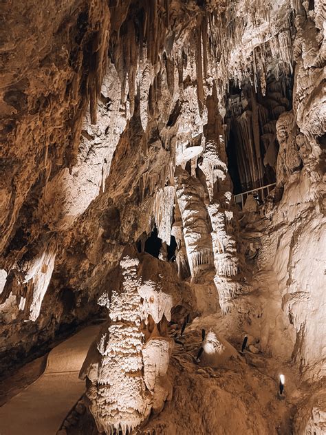 Explore limestone caves at Mitchell Caverns, a hidden gem in the Mojave Desert