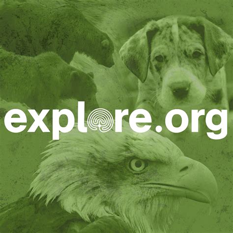 Explorer .org. Explore.org is the world's leading philanthropic live nature cam network and documentary film channel. Our mission is to champion the selfless acts of others, create a portal into the soul of humanity and inspire lifelong learning. Watch nature unfold live right now! 
