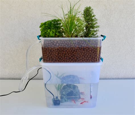 Exploring Aquaponics (Grades 3-5) - agclassroom.org