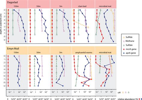 Exploring Depth-Related Variations in Methane-Coupled Microbial Activity (2025)