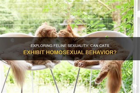 Exploring Homosexual Behavior in Animals