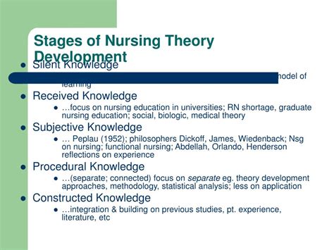 Exploring Issues in Theory Development in Nursing