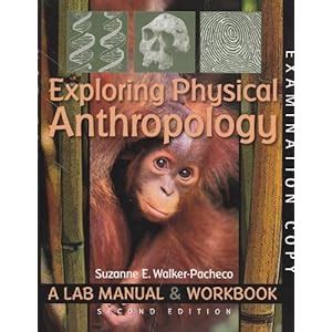 Exploring physical anthropology a lab manual and workbook 2nd edition. - International handbook of survey methodology european association of methodology series.
